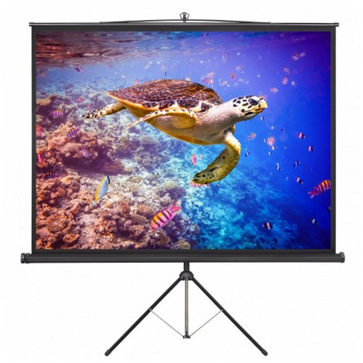Optiview Screen Projector Screen Price in Pakistan l Technoo.pk